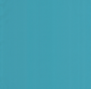 256-DW-IP