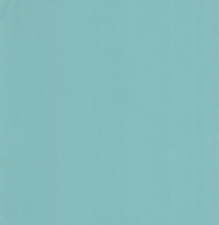 259-DW-IP