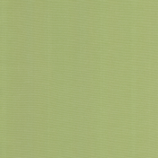 297-DW-OPP