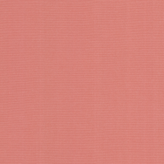 298-DW-OPP