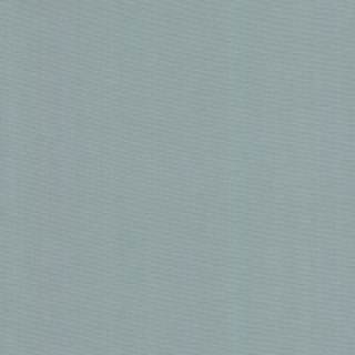 299-DW-OPP