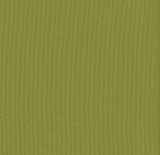 Celery Green