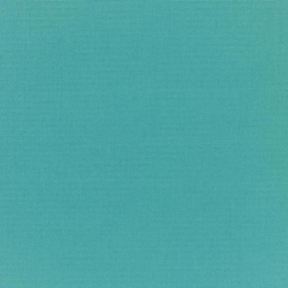 207-DW-OPP