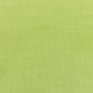 211-DW-OPP