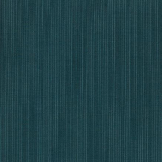 217-DW-OPP