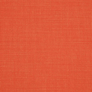223-DW-OPP