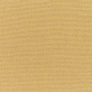 AC-5484 (Sunbrella)