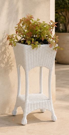 WHITE WHITE