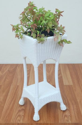 WHITE WHITE